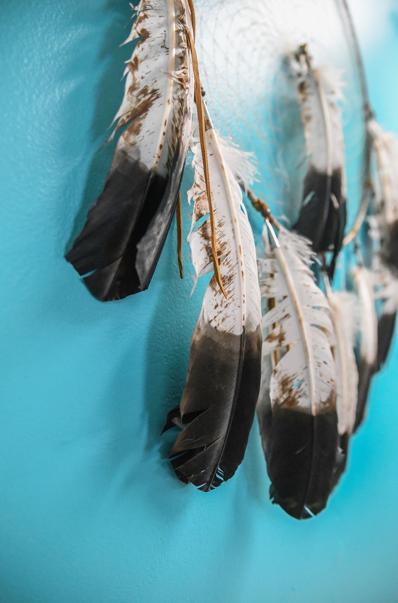 Native American Feathers